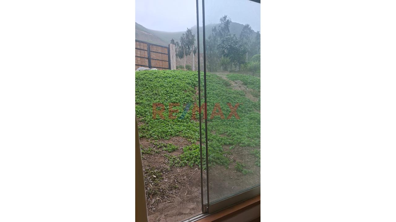Se Vende Terreno En Pachacamac - 4