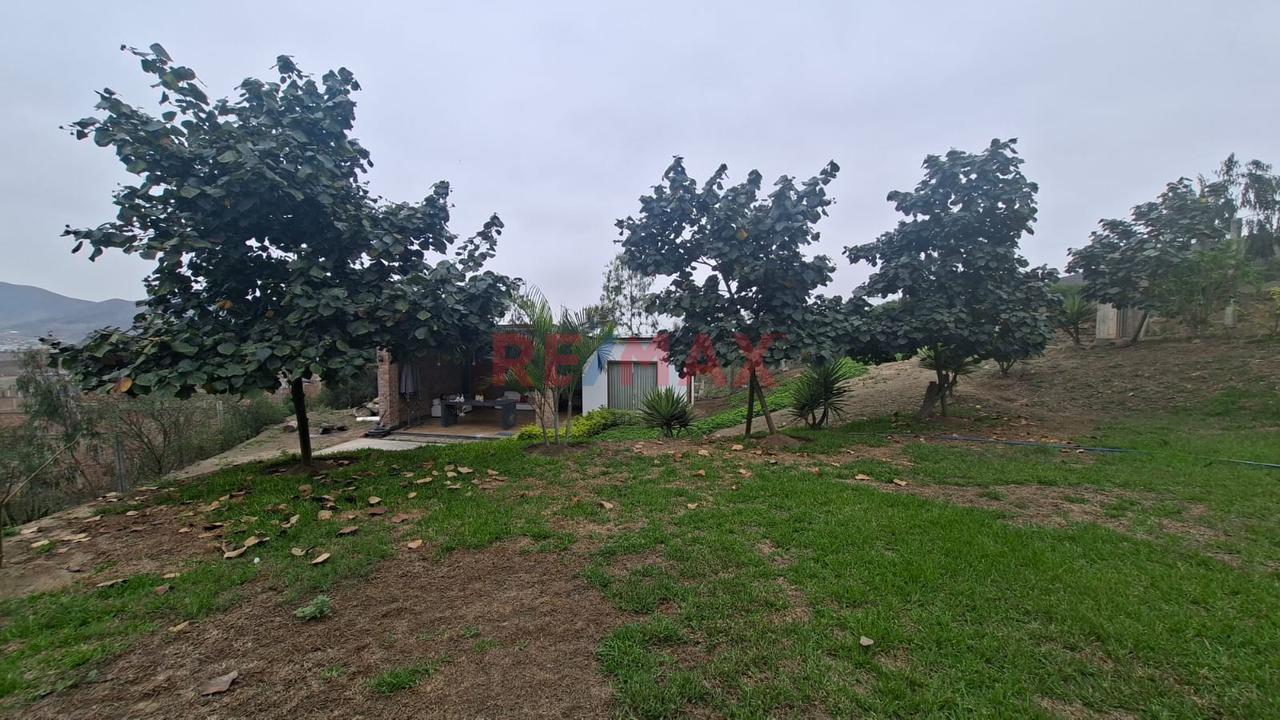Se Vende Terreno En Pachacamac - 7