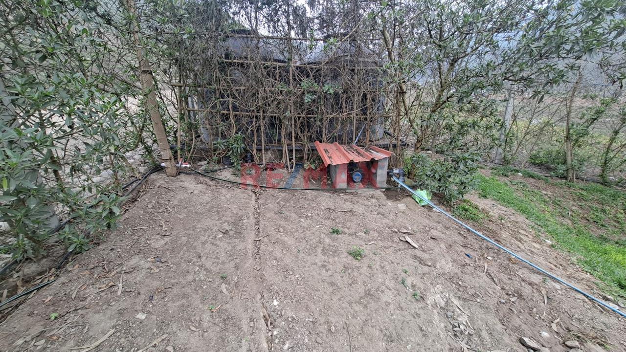 Se Vende Terreno En Pachacamac - 3
