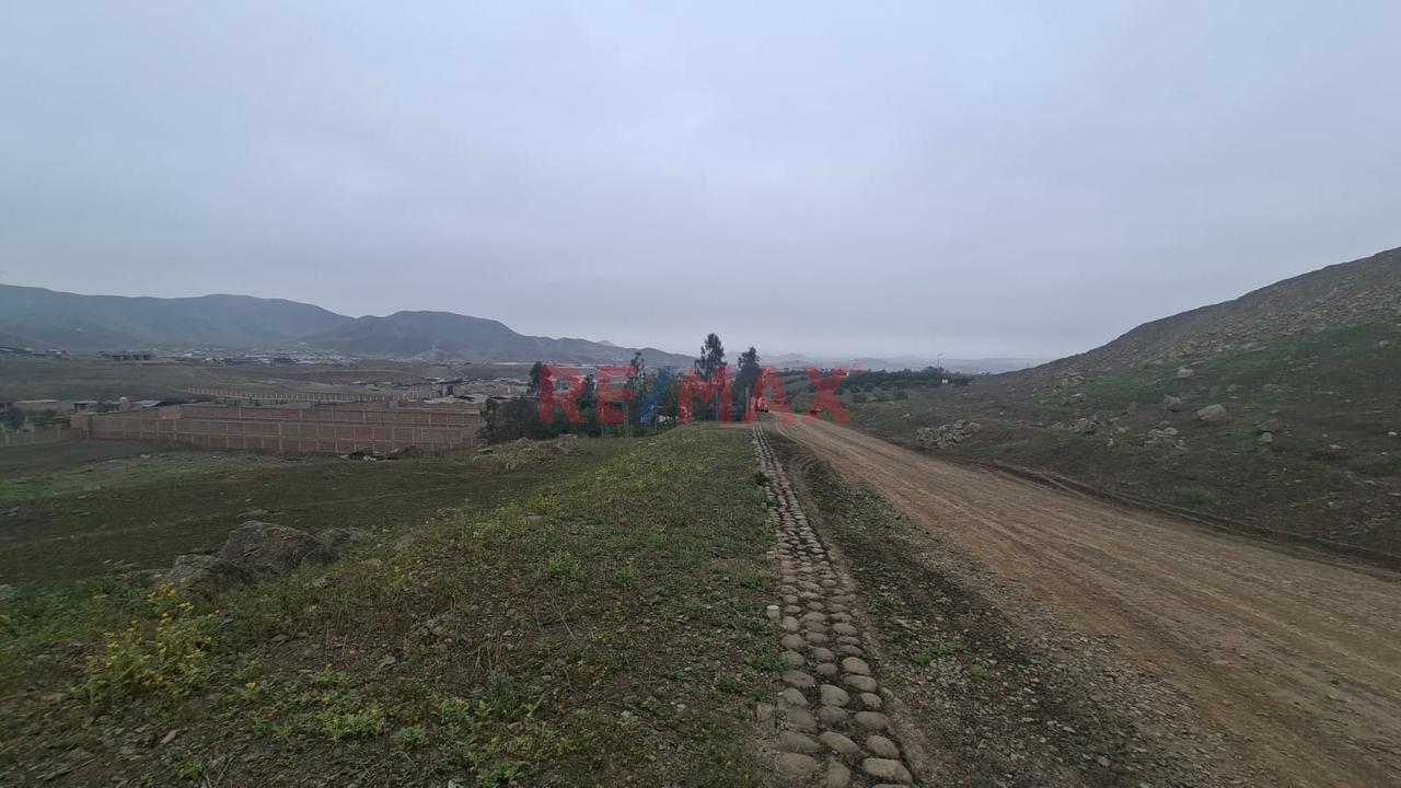 Se Vende Terreno En Pachacamac - 18