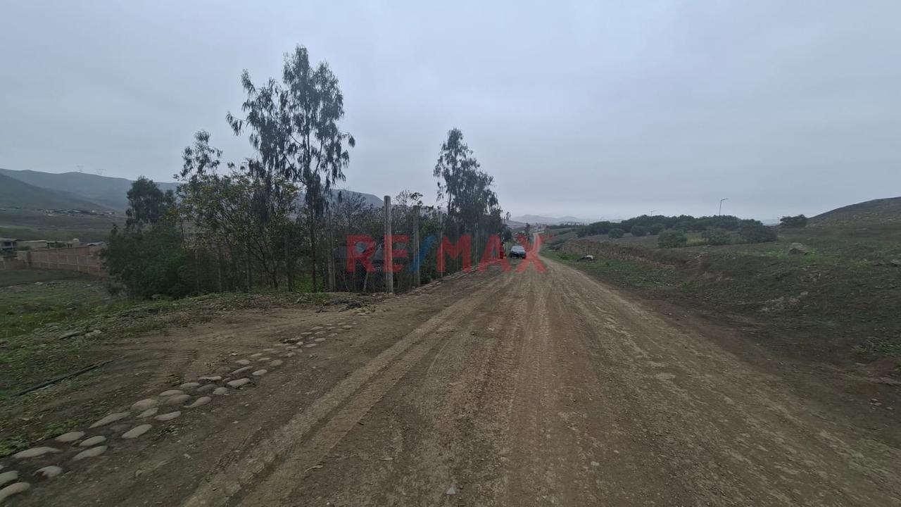 Se Vende Terreno En Pachacamac - 12