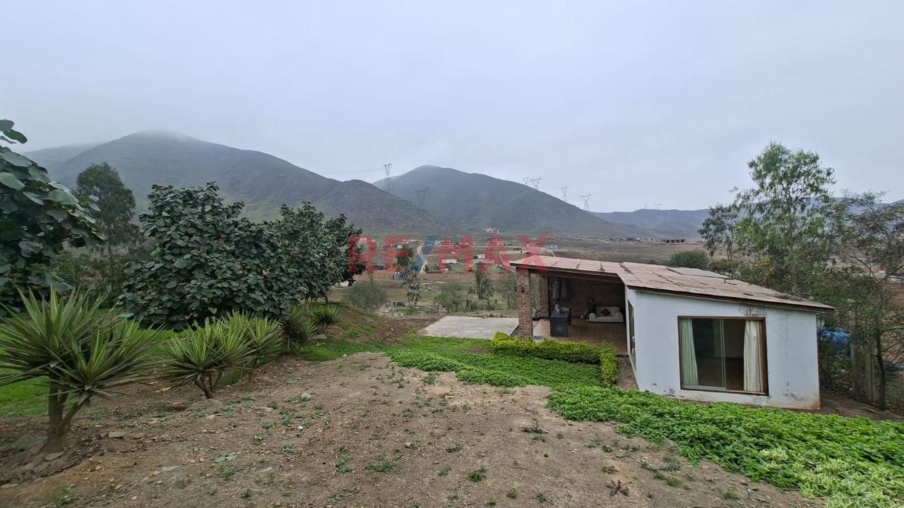 Se Vende Terreno En Pachacamac - 15