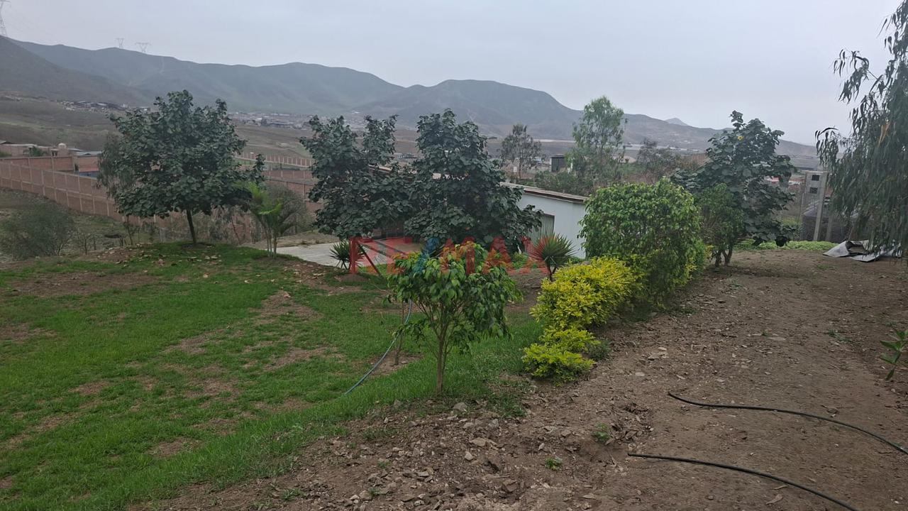 Se Vende Terreno En Pachacamac - 21