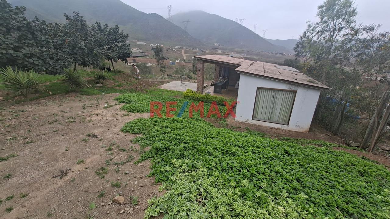 Se Vende Terreno En Pachacamac
