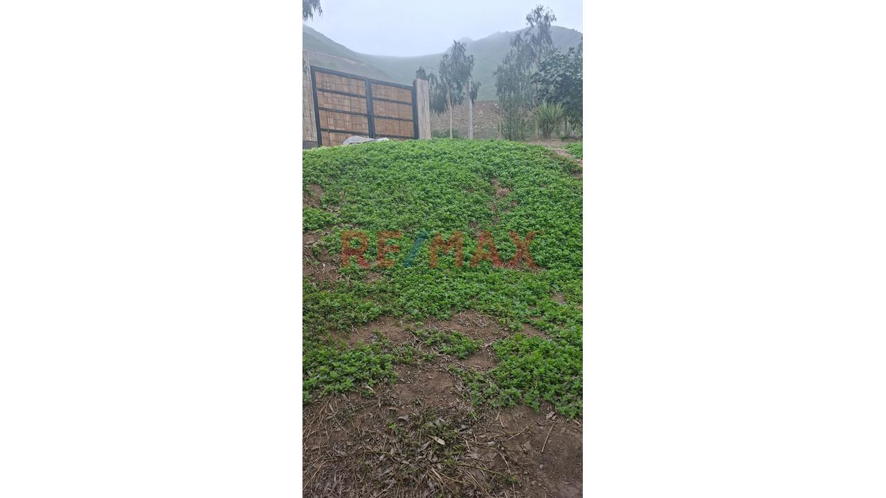 Se Vende Terreno En Pachacamac - 13