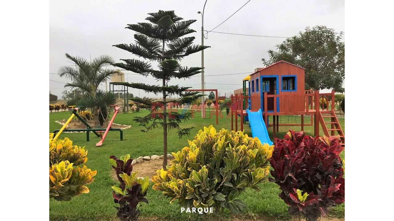 Cañete Imperial | Terreno En Venta | Urb. La Planicie De San Benito - 7