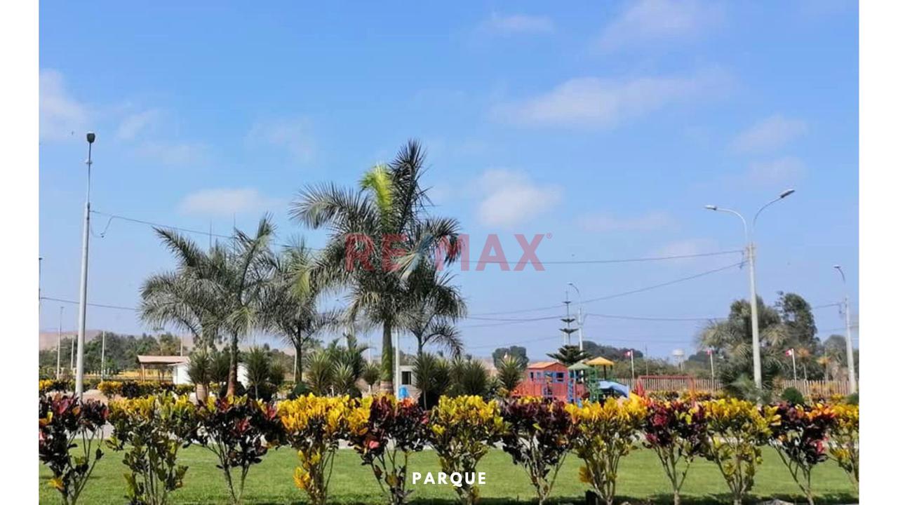 Cañete Imperial | Terreno En Venta | Urb. La Planicie De San Benito - 5