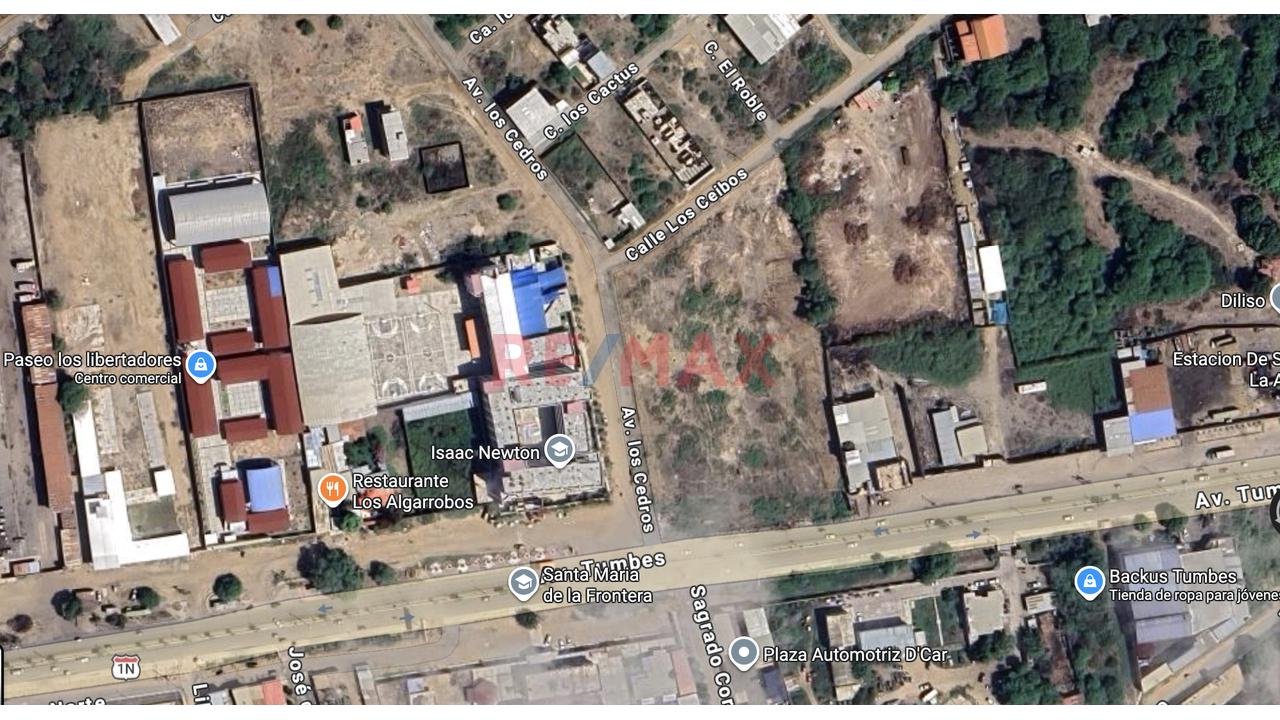 Vendo Terreno En Venta De 1,000 M² – Av Los Cedros - Esquina Con 3 Frentes | Tumbes - La Alborada - 11