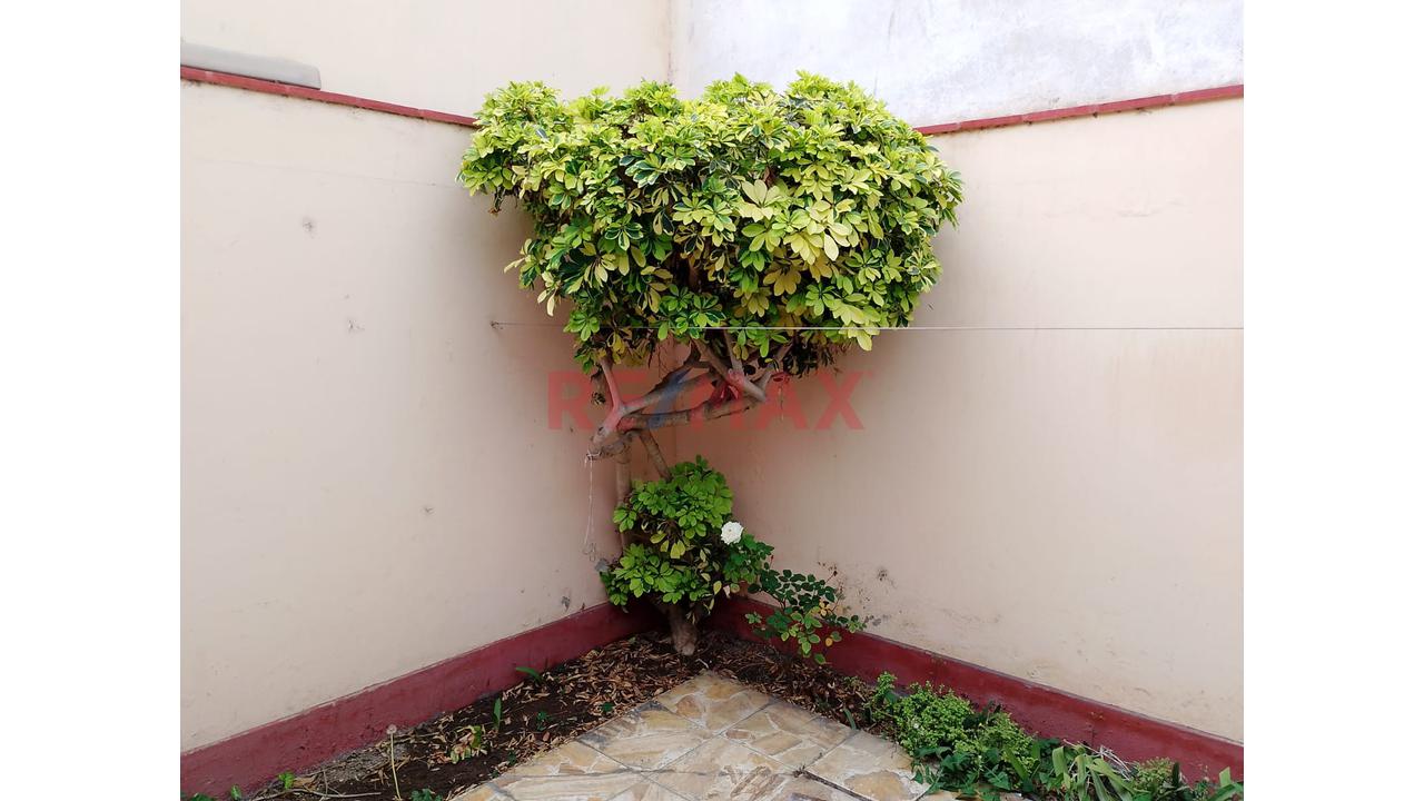 Se Vende Casa En Urbanización El Palmar, Santiago De Surco - 13