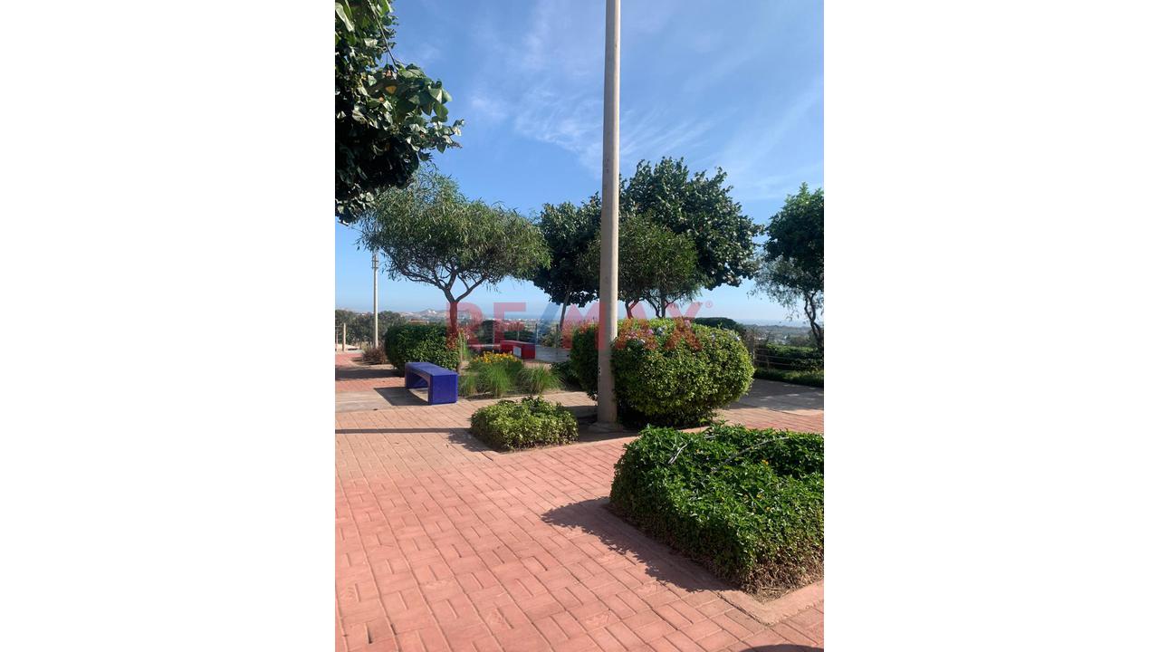 Ocasión Se Vende Un Terreno En San Antonio De Mala Cañete - 8