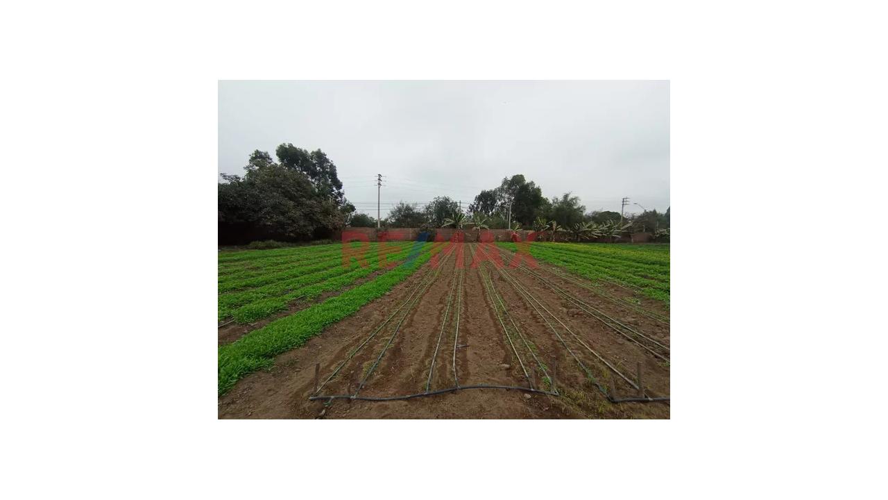 Vendo Amplio Terreno De 2000 M2 En Manchay Alto 🏡 🌿