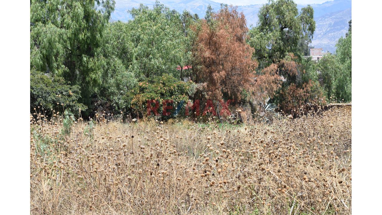 🌄 ¡Invierte En La Esmeralda De Los Andes! | Más De 2 Hectáreas En Huanta 🌿 - 7