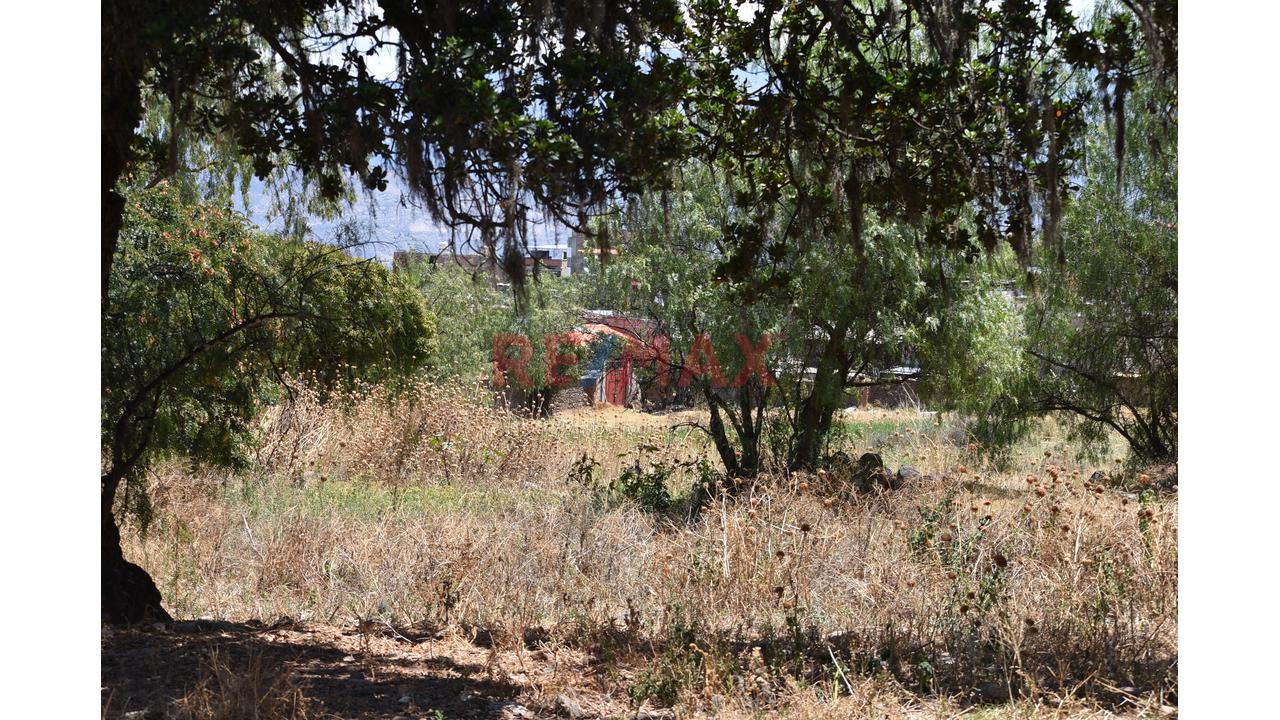 🌄 ¡Invierte En La Esmeralda De Los Andes! | Más De 2 Hectáreas En Huanta 🌿 - 9