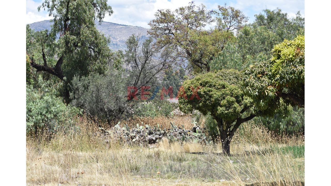 🌄 ¡Invierte En La Esmeralda De Los Andes! | Más De 2 Hectáreas En Huanta 🌿 - 16