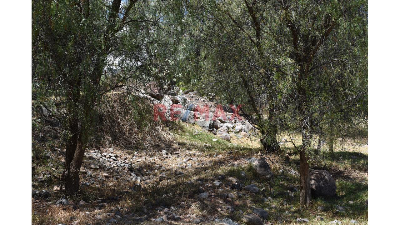 🌄 ¡Invierte En La Esmeralda De Los Andes! | Más De 2 Hectáreas En Huanta 🌿 - 4