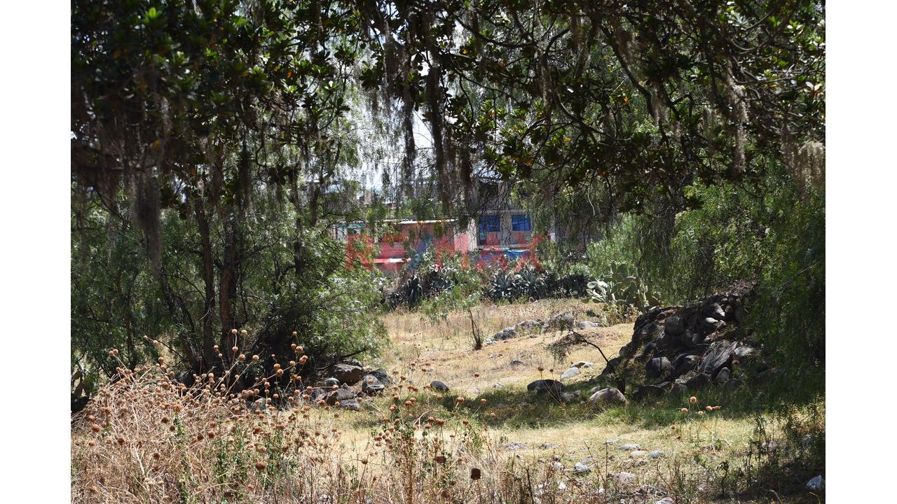 🌄 ¡Invierte En La Esmeralda De Los Andes! | Más De 2 Hectáreas En Huanta 🌿 - 6