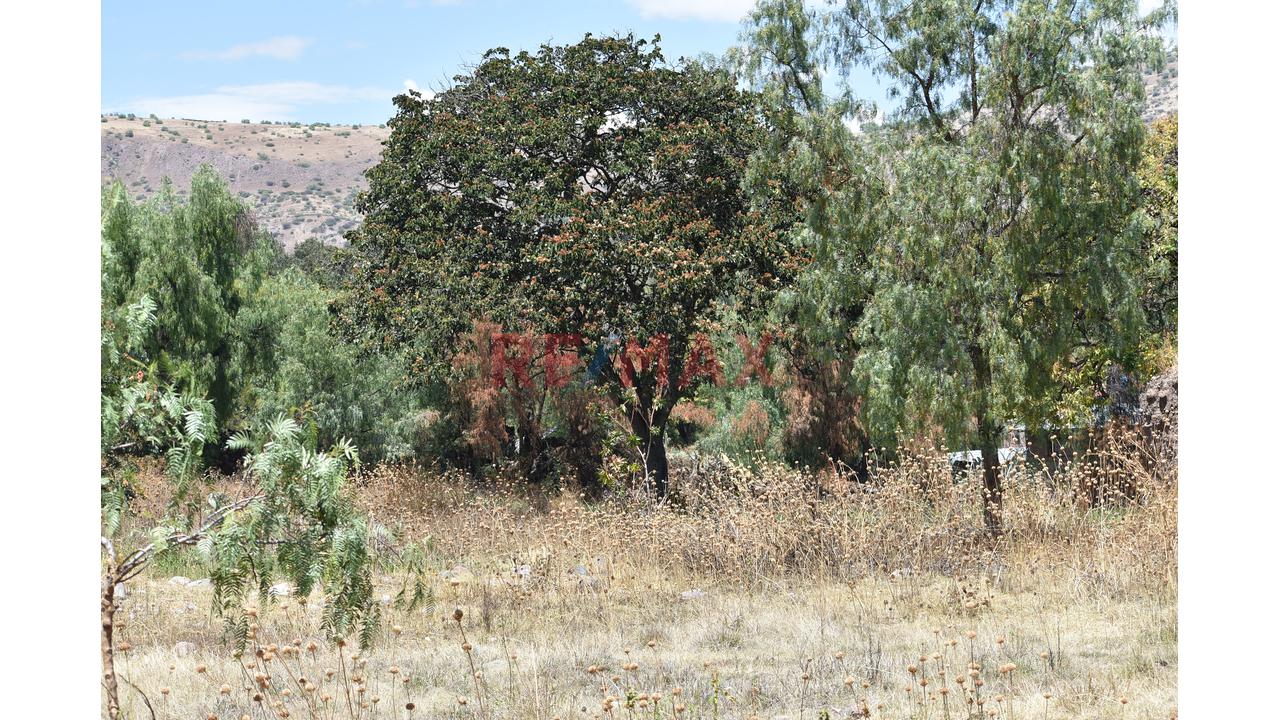 🌄 ¡Invierte En La Esmeralda De Los Andes! | Más De 2 Hectáreas En Huanta 🌿 - 15