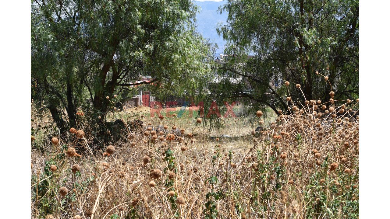 🌄 ¡Invierte En La Esmeralda De Los Andes! | Más De 2 Hectáreas En Huanta 🌿 - 10