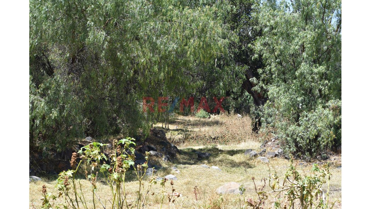 🌄 ¡Invierte En La Esmeralda De Los Andes! | Más De 2 Hectáreas En Huanta 🌿 - 14