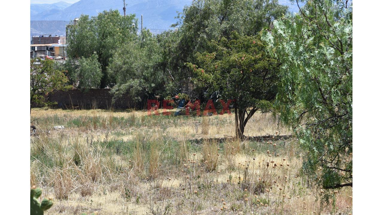 🌄 ¡Invierte En La Esmeralda De Los Andes! | Más De 2 Hectáreas En Huanta 🌿 - 18