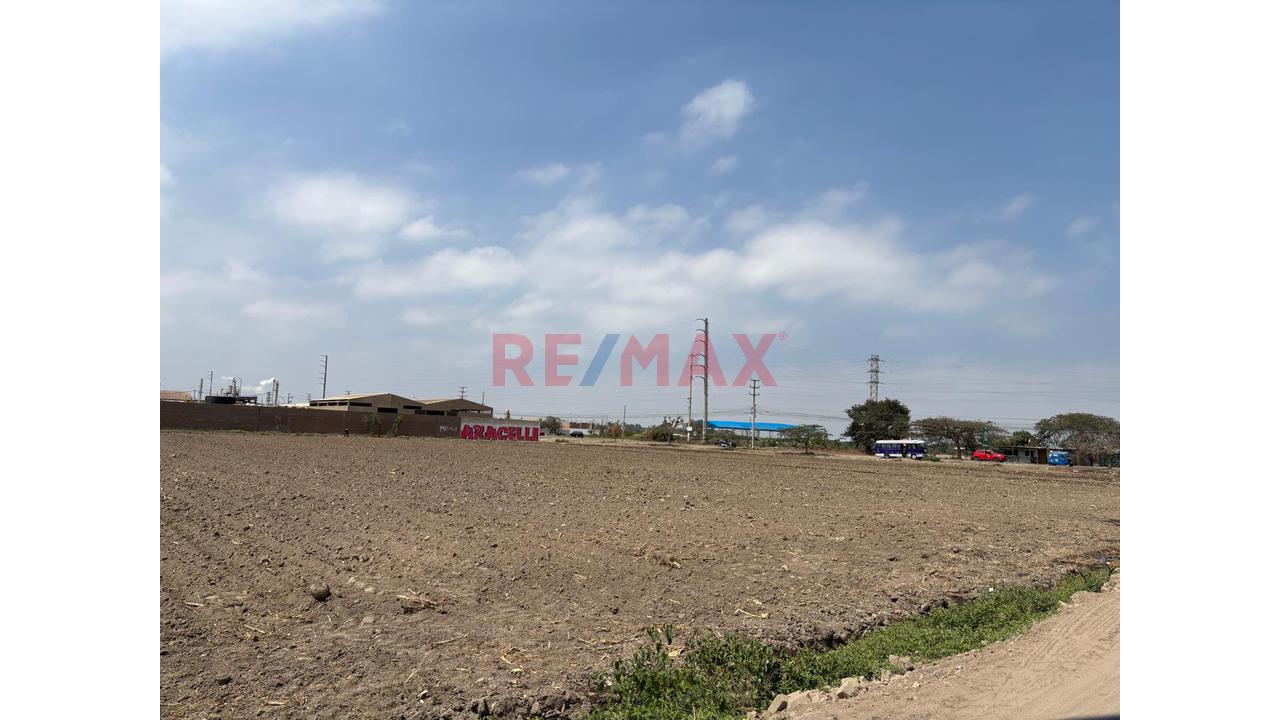 🌟 Terreno De 4.6200 Ha En Chincha Baja – Ideal Para Proyecto Inmobiliario, Fábrica O Desarrollo Agrícola - 6