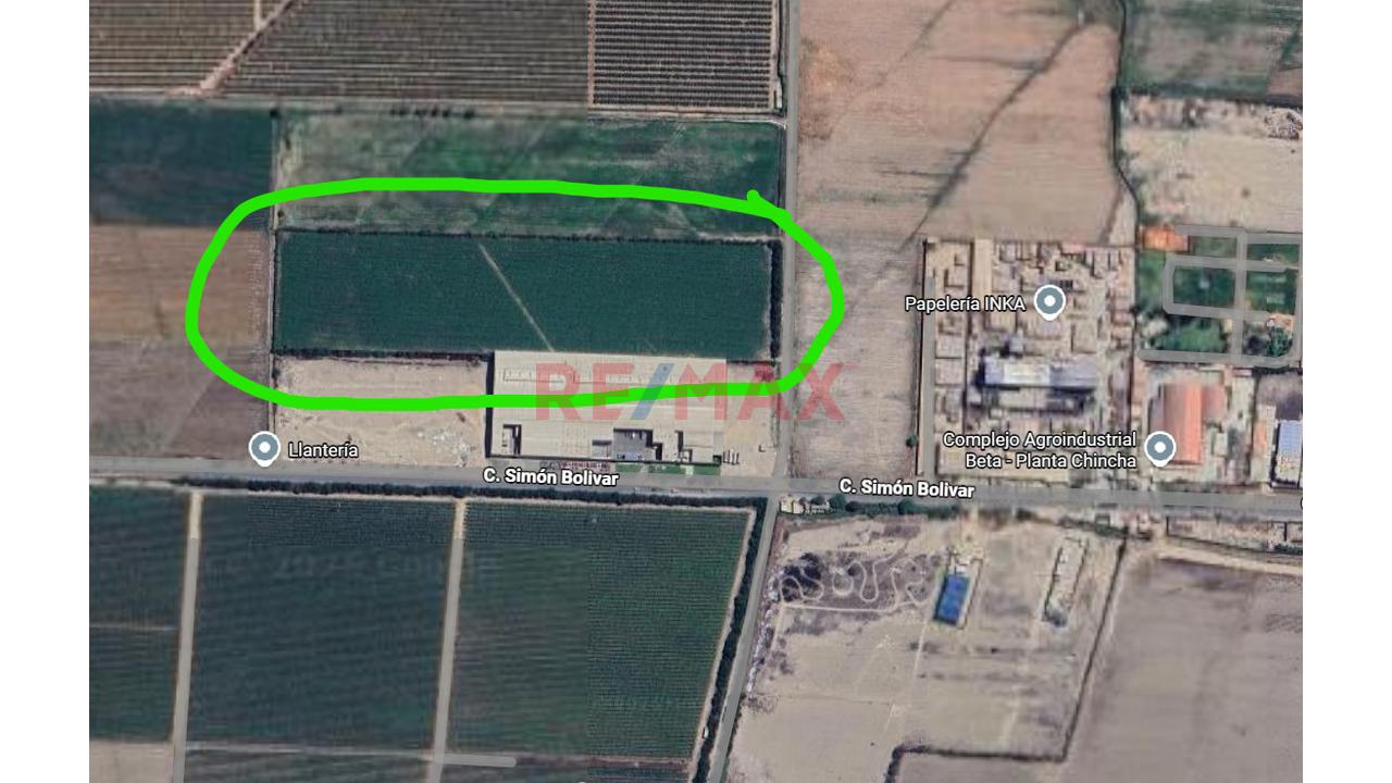 🌟 Terreno De 4.6200 Ha En Chincha Baja – Ideal Para Proyecto Inmobiliario, Fábrica O Desarrollo Agrícola - 7