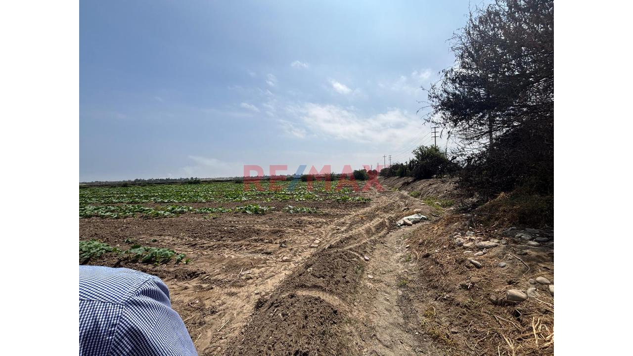 🌟 Terreno De 4.6200 Ha En Chincha Baja – Ideal Para Proyecto Inmobiliario, Fábrica O Desarrollo Agrícola - 2