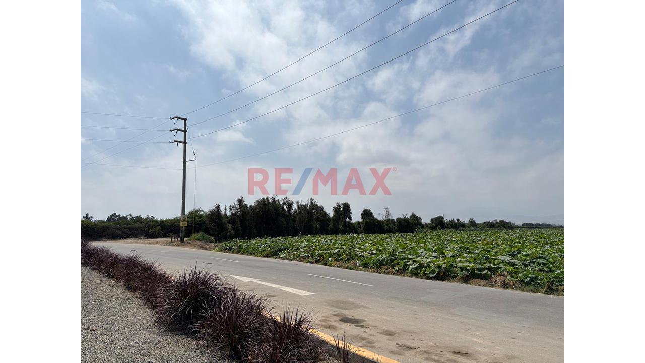 🌟 Terreno De 4.6200 Ha En Chincha Baja – Ideal Para Proyecto Inmobiliario, Fábrica O Desarrollo Agrícola - 4