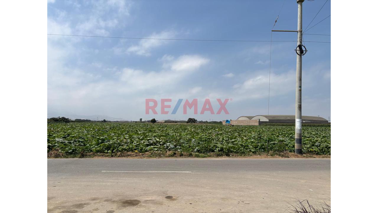 🌟 Terreno De 4.6200 Ha En Chincha Baja – Ideal Para Proyecto Inmobiliario, Fábrica O Desarrollo Agrícola - 5