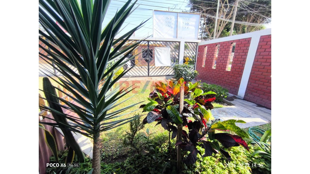 Primer Piso De Casa Con Amplio Potencial De Ampliación – Urb. Almirante Miguel Grau, Ventanilla - 12
