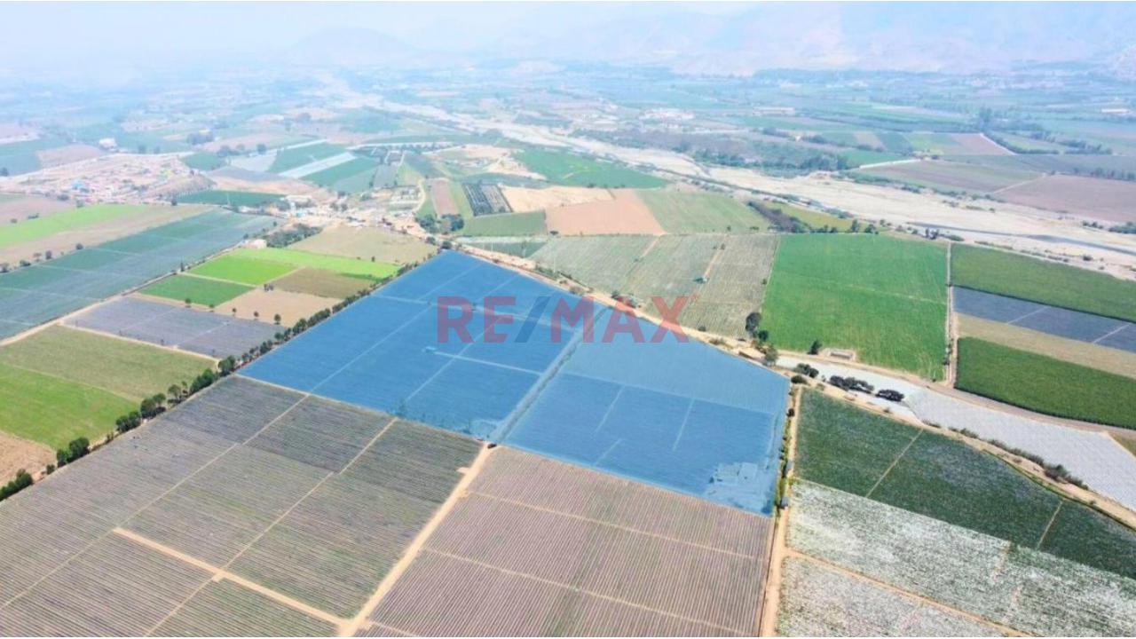 Venta De Terreno En Aucallama   $ 2’271000 Negociables - 5