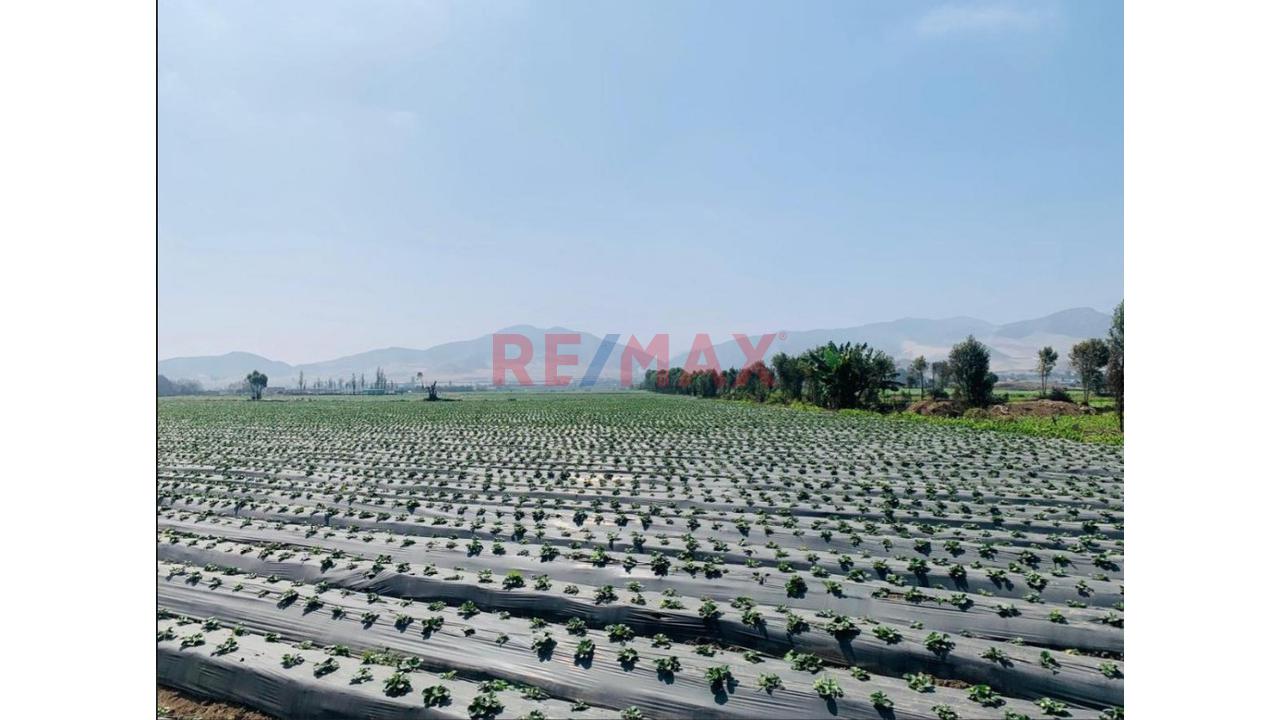 Venta De Terreno En Aucallama   $ 2’271000 Negociables - 16