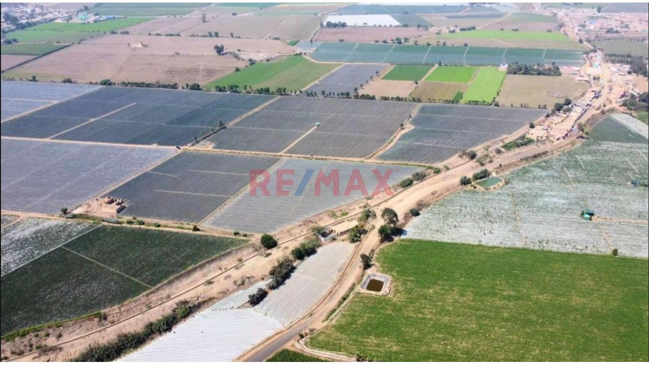 Venta De Terreno En Aucallama   $ 2’271000 Negociables - 8