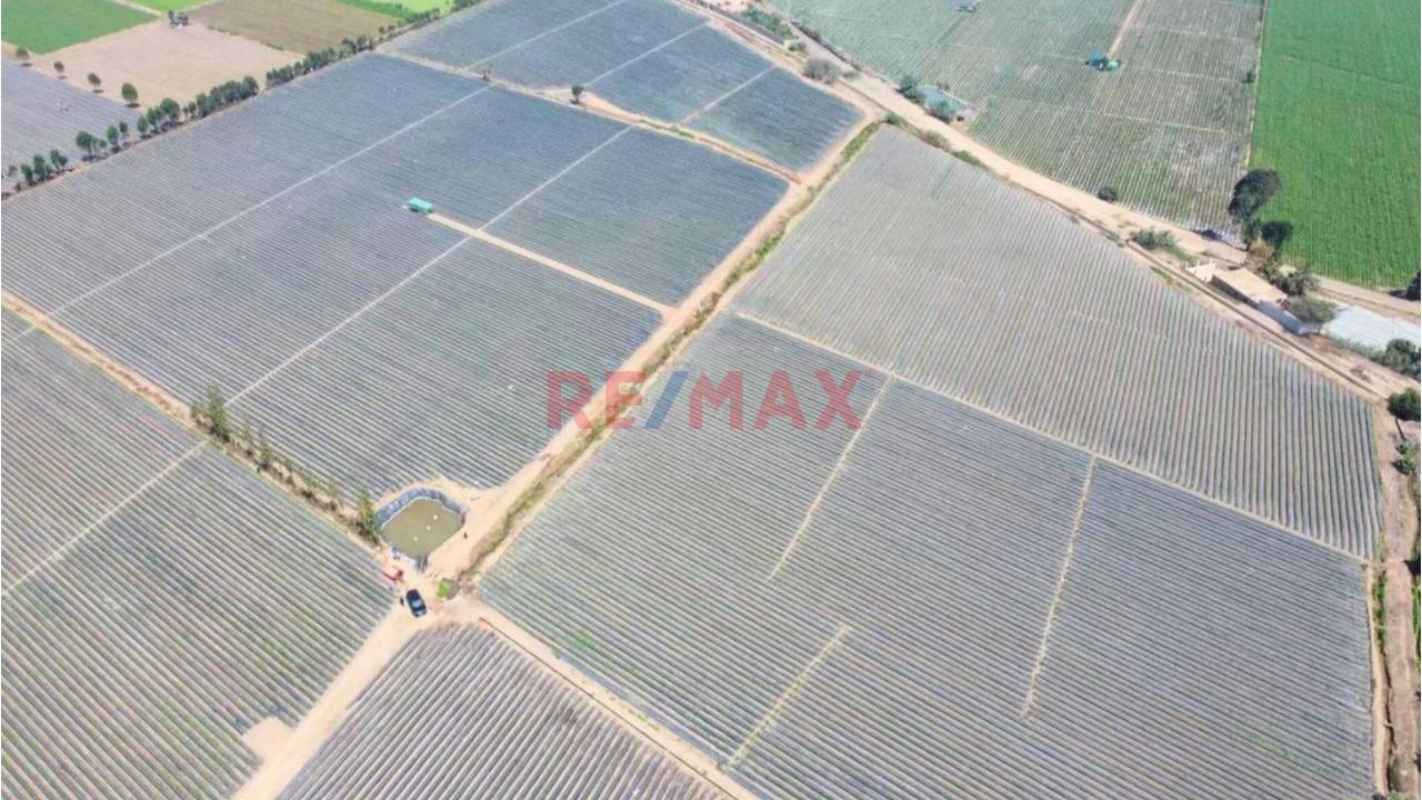 Venta De Terreno En Aucallama   $ 2’271000 Negociables - 10