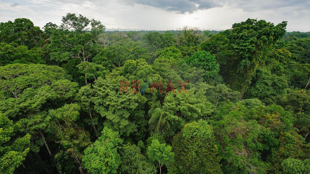 Fundo 27.23 Ha En Tambopata | Río Madre De Dios | Aptitud Forestal - 2