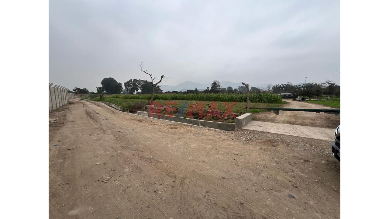 Se Vende Hermoso Terreno De 21,500 M2 En Pachacamac - 2