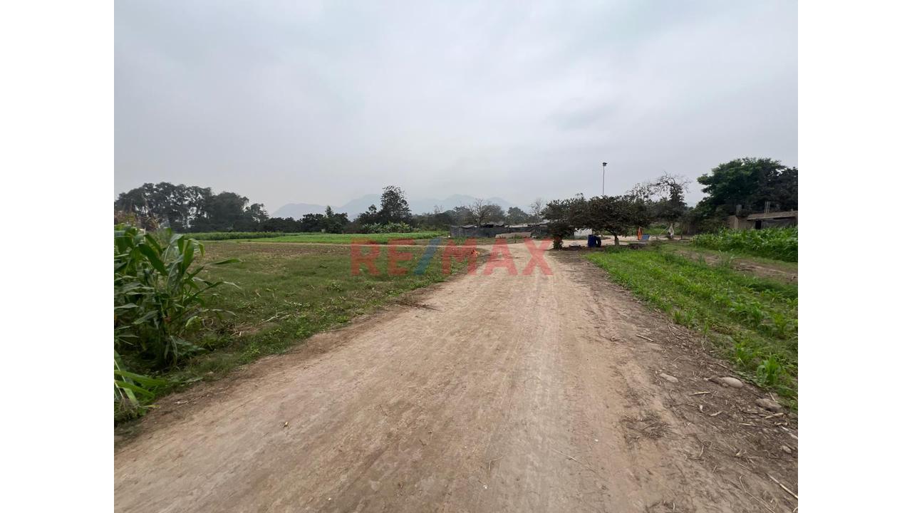 Se Vende Hermoso Terreno De 21,500 M2 En Pachacamac - 3