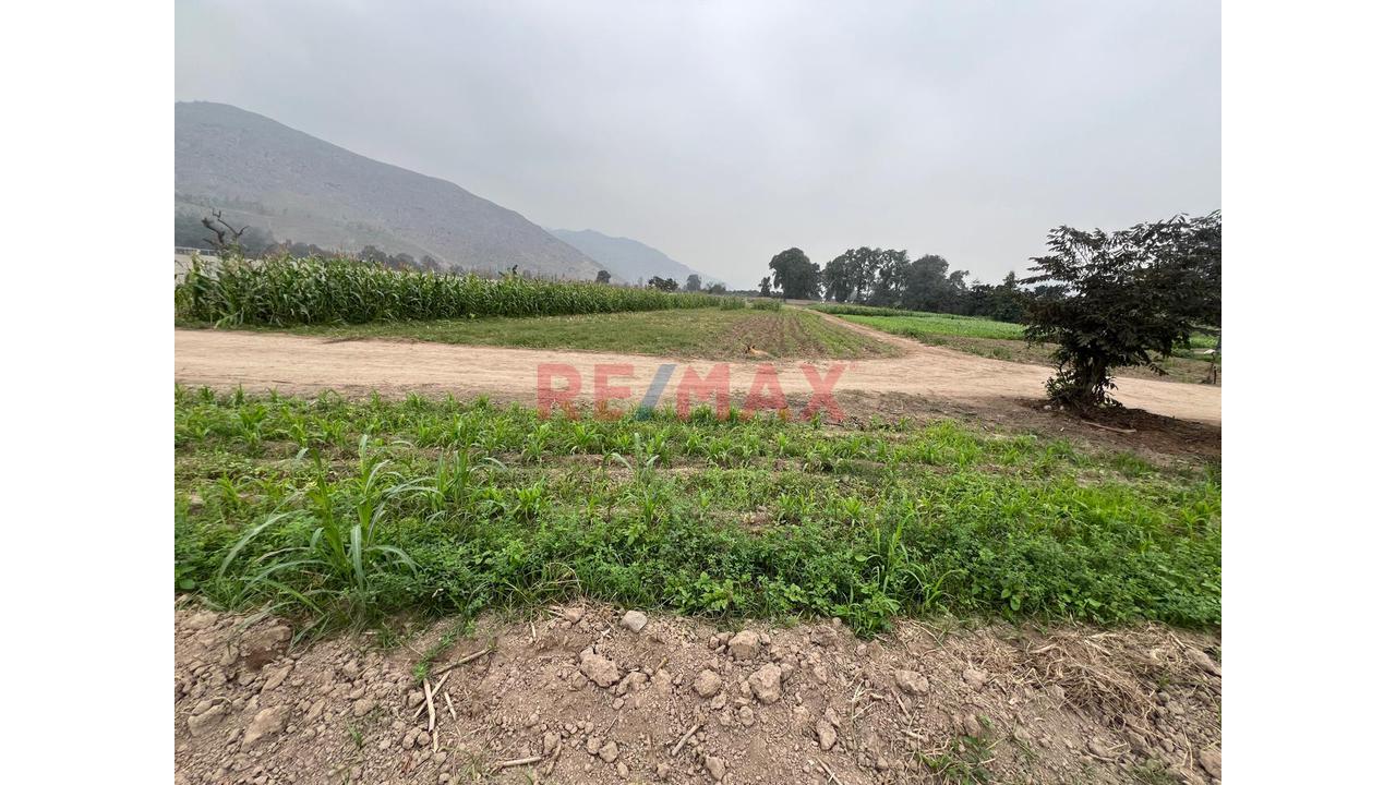 Se Vende Hermoso Terreno De 21,500 M2 En Pachacamac - 4