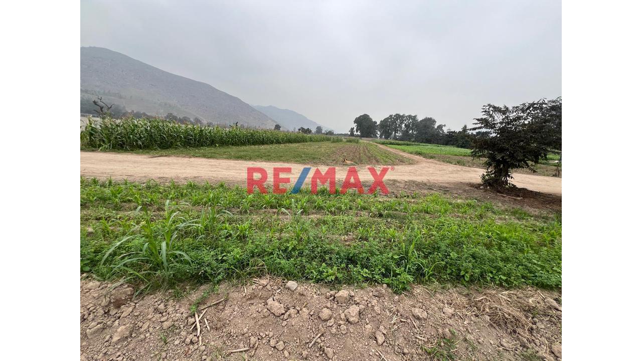 Se Vende Hermoso Terreno De 21,500 M2 En Pachacamac - 1