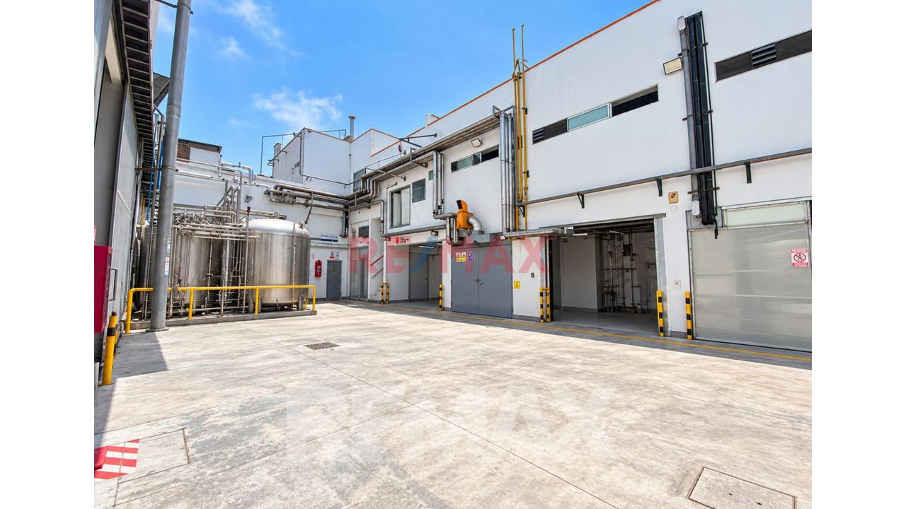 Se Vende Local Industrial Para Producción De Alimentos En Ate - 19
