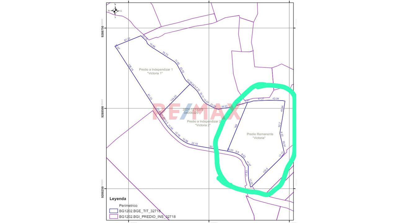 🌴🌿 ¡Casi 3 Hectáreas En Venta En El Corazón De San Martín! 🌿🌴 - 2