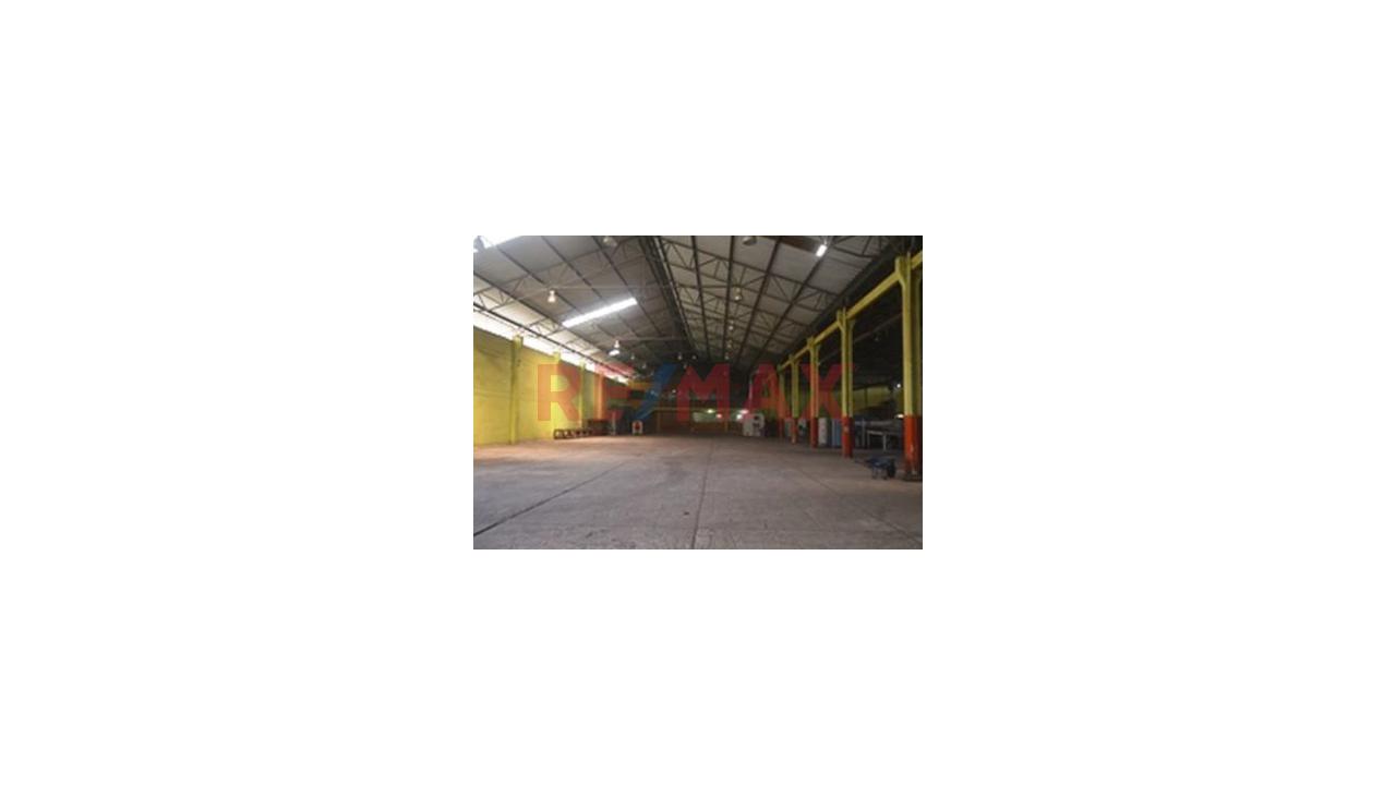 Venta De 60,000 M² Con Locales Y Almacenes – Carretera Iquitos-Nauta — foto 15