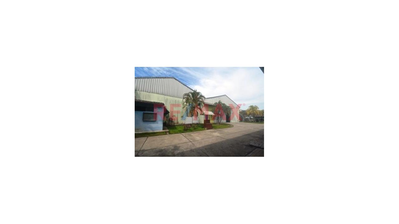 Venta De 60,000 M² Con Locales Y Almacenes – Carretera Iquitos-Nauta - 16