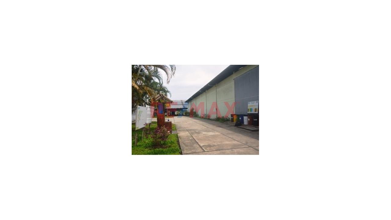Venta De 60,000 M² Con Locales Y Almacenes – Carretera Iquitos-Nauta - 17
