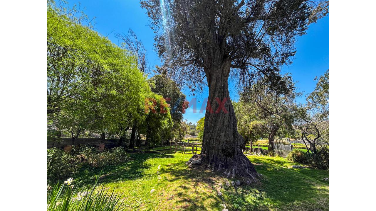 🏡 ¡Una Joya De Campo En El Corazón De Sabandia! ✨ - 13