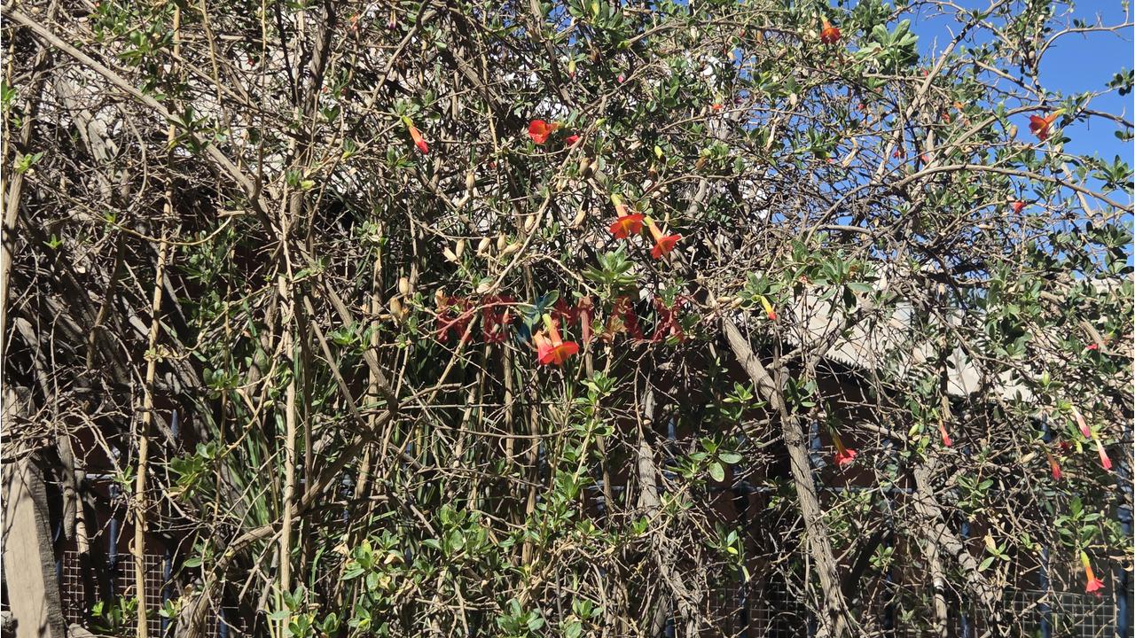 🏡 ¡Una Joya De Campo En El Corazón De Sabandia! ✨ - 8