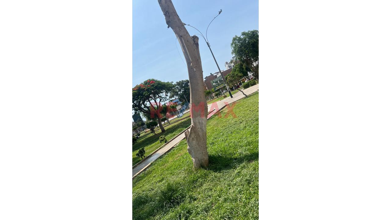Venta De Departamento De 3 Dormitorios En La Mejor Zona De Los Olivos - 12