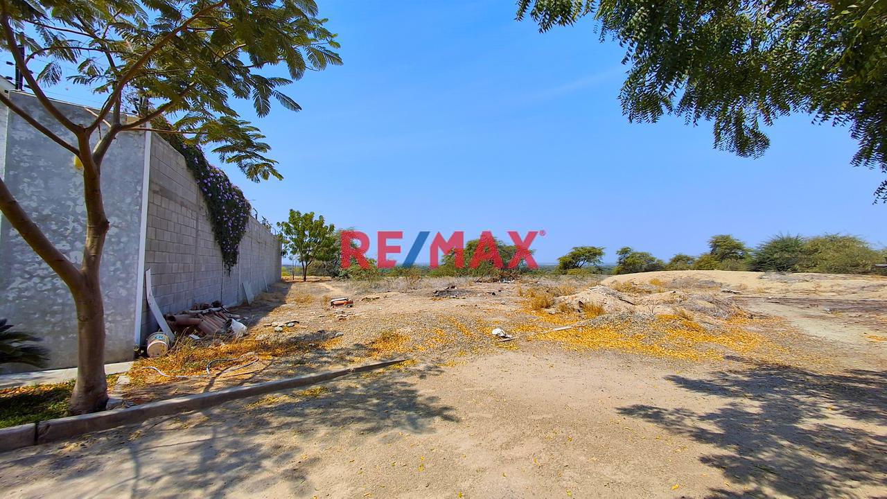 😮 Ocasión Lote En Venta 📐500 M² ( 12.146 X 37.295 )  Exclusivo Condominio De Campo La Toscana 🪁 🌳