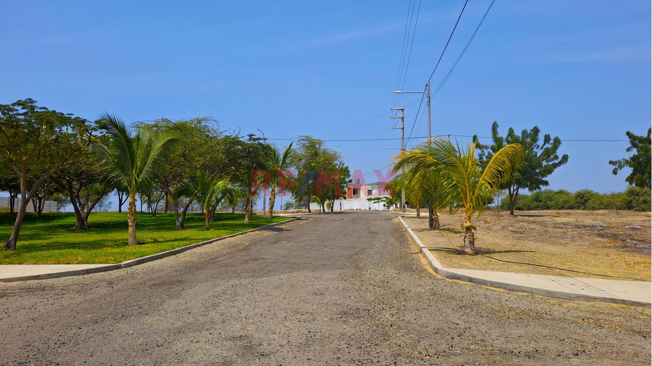 😮 Ocasión Lote En Venta 📐500 M² ( 12.146 X 37.295 )  Exclusivo Condominio De Campo La Toscana 🪁 🌳 - 6