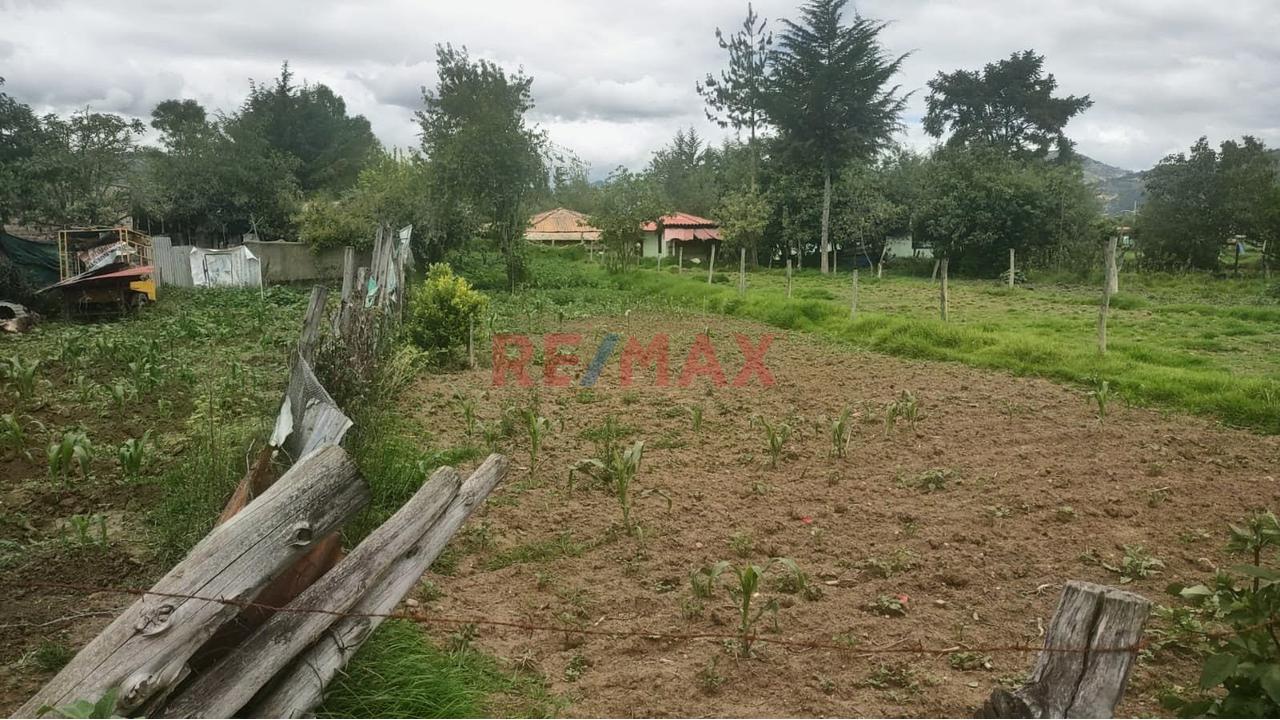 Se Vende Terreno De 514 M2 Prlg. Cinco Esquinas, Cajamarca - 4